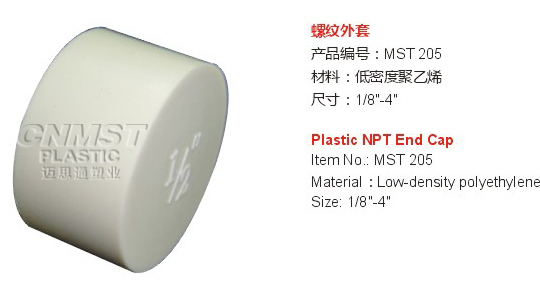 Plastic NPT End Cap